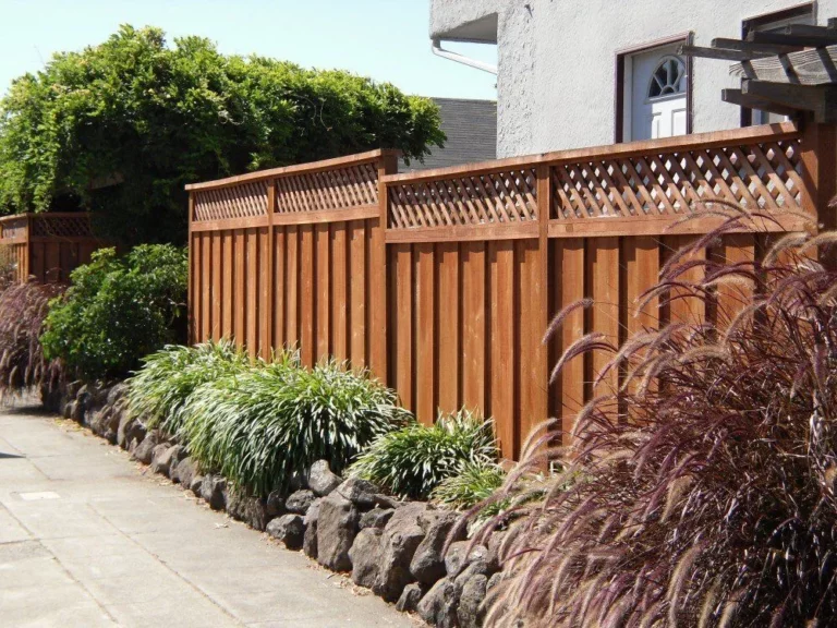 Fence Staining Pro Expert Guide for Long-Lasting Results