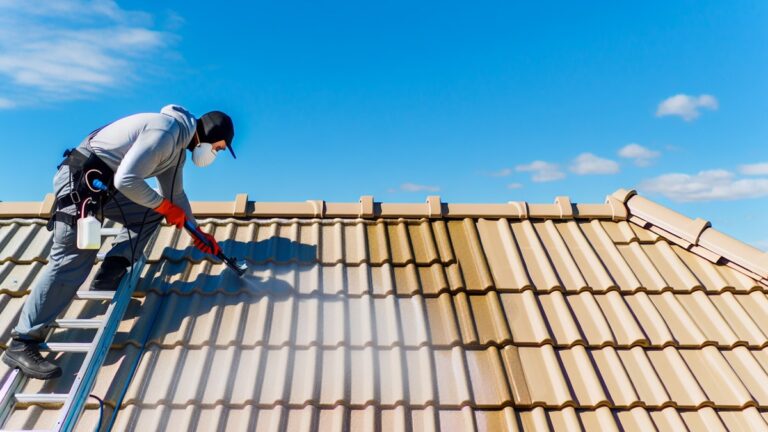 Roof Washing Services Near Me Complete Guide to Professional Roof Cleaning