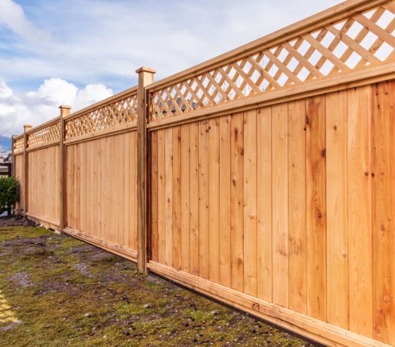 Stain Fence Near Me – Complete Local Service Guide